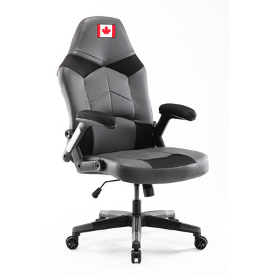 Fauteuil de jeu canadien