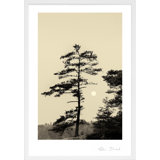 Serenity By Peter Dušek - Framed Wall Art