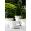 Rustic Garden Handmade Planter