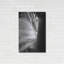 «Elephant Ear I» par Debra Van Swearingen-268529573