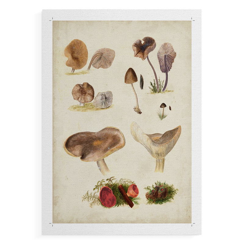 Champignon III - reproduction de toile seulement - NON-CADRE, H 12 po x l 8 po