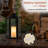 Hexagonal Battery-Operated Metal Lantern With Led Lights-52674978