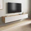 Daphne Floating TV Stand for TVs up to 65"