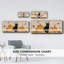 «Pumpkin Patch Cats Collection D», toile encadrée-894136869
