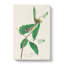Warbler Bird by John Audubon - Wrapped Canvas Painting-55370200
