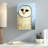 " Barn Owl "-22828994-22828999