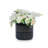 Handmade Black Glazed Ceramic Planter Set Of 3, 9" 7" 6" Diameter, Grid Pattern, For Succulents & Cacti Indoor/Outdoor Shelf & Table Use, Porous Clay With Drainage Holes-213165609