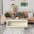 Caomhan Pedestal Coffee Table with Storage-386869801