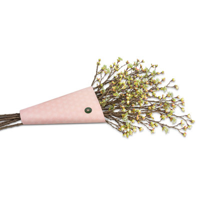 Delila Bud Bundle