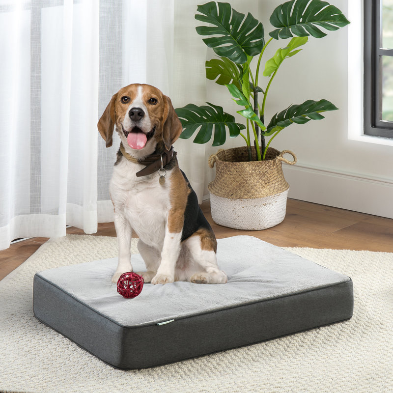 Orthopedic Polyester Pet Bed, Large