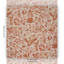 Schumacher X Abel Macias Canopy Fabric