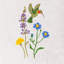Ensemble de serviettes 100% coton Hada-1360223263