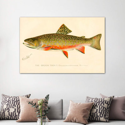 The Brook Trout - impression d'art graphique
