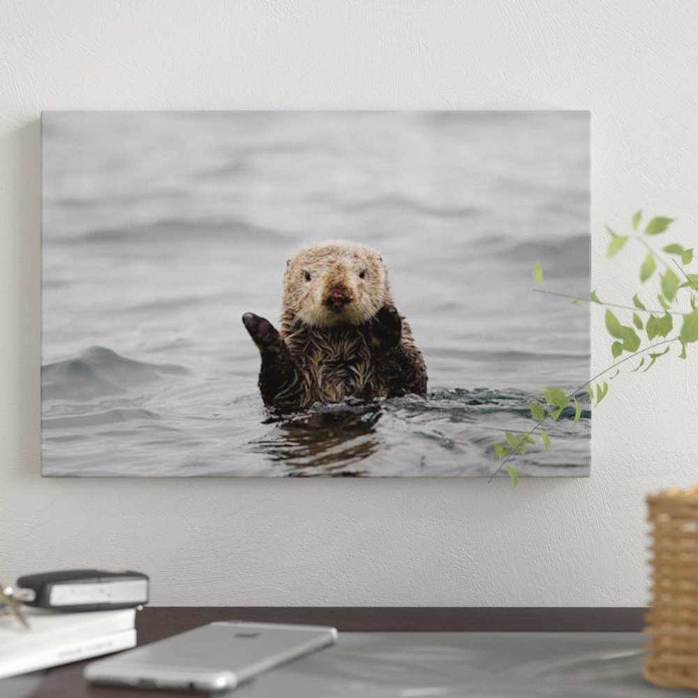 " Sea Otter, Katmai, Alaska " by Jaymi Heimbuch East Urban Home Mat