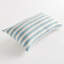 Polyester Indoor/Outdoor Pillow Cover & Insert-677006631-677006625