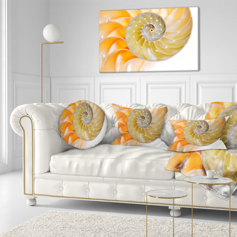 Coussin de coquillage isolé nautilus, H 12 po x l 20 po