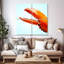 Griffe de homard rouge Brampt-109111149