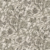 Wandervine - Botanical Wallpaper