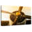 Mehar Golden Sunset Propeller-106310151