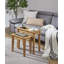 Julianna Solid Wood End Table