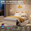 Structure de lit double en velours avec tête de lit à rangement et 2 tiroirs, beige-129208350