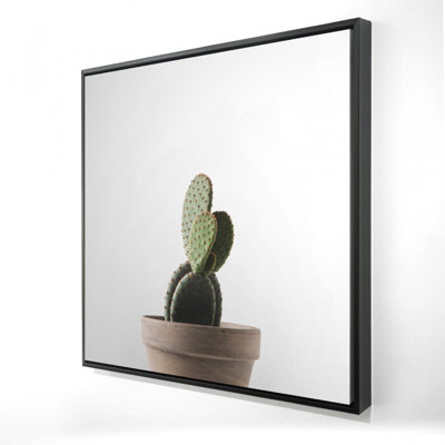 "Cactus en pot" sur