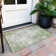 Aleighna Area Rug with Non-Slip Backing