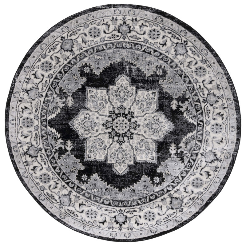 Damyon Performance Oriental Rug, Round 6'7"