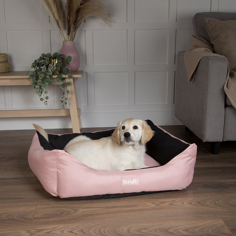 Polyester Pet Bed, Rose Quartz, 20cm H x 60cm W x 75cm D