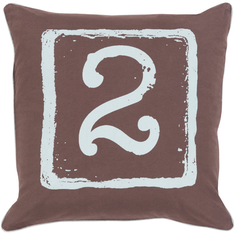 Housse de coussin en coton , 22 po x 22 po, Brun foncé / aqua, 2