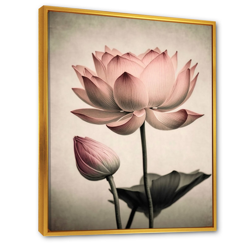 «Blossoming Pink Vintage Lotus IV», impressions sur toile de lotus, H 20 po x l 12 po x P 1 po, Toile avec cadre flottant or