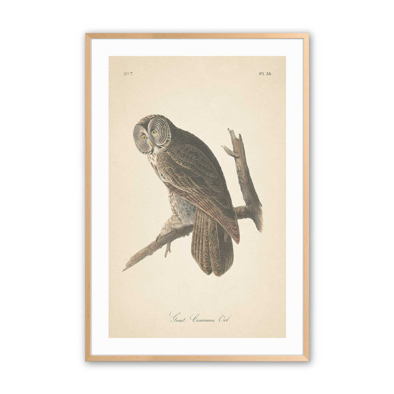 Impression d'un hibou perché dans un, Érable brut encadré, H 17 po x l 13 po x P 1,25 po