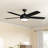 Stembridge 52'' Ceiling Fan with LED Lights-867275345-805818255