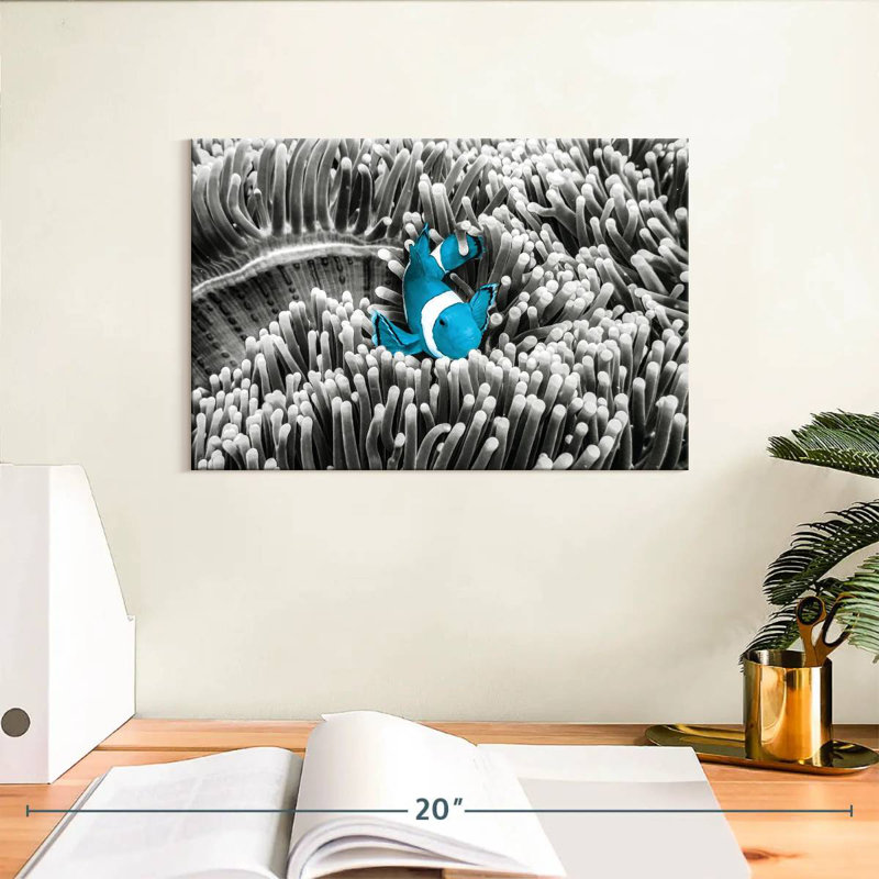 Brampt Clownfish Pop, 8" H x 12" W