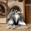  Tapis lavable soyeux Terrier Dogs-448685415