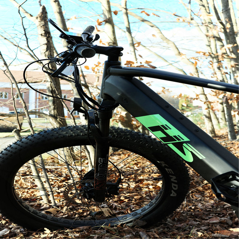 Fat hs-fat tire ebike