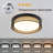 13" Dimmable Led Drum Flush Mount