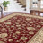 Clarence Oriental Floral Indoor Kid & Pet Friendly Rug for Bedroom, Living Room-1119496183