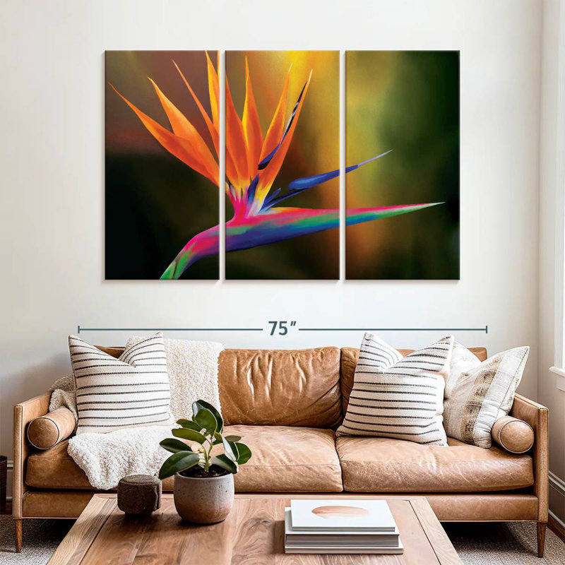 Strelitzia Harnek Delightful, H 42 po x l 65 po