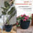 Shiye Pot Planter-66653520