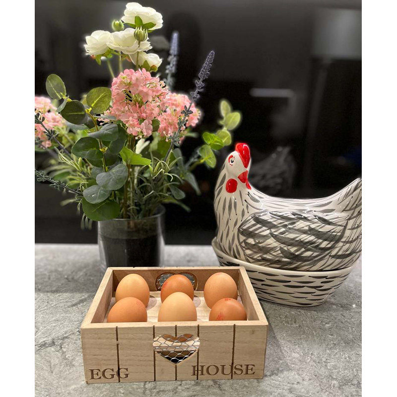 Turco 6 Egg Storage Tray