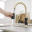 Robinet de cuisine à poignée simple avec accessoires-105373736