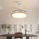 Sharmon Ceiling Fan with LED Lights