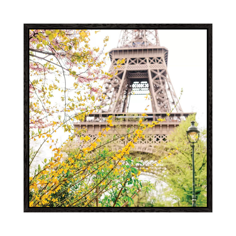 Eiffel Tower VII by Bethany Young - Print on Canvas, 45.72cm H x 45.72cm W x 3.81cm D, Black Framed