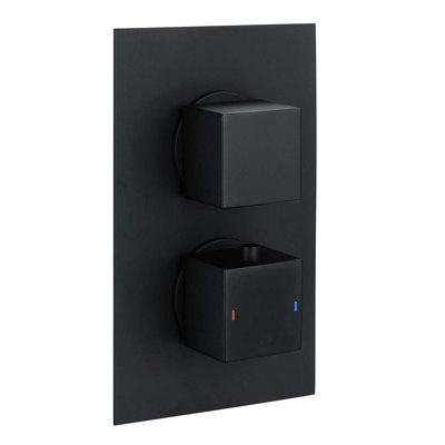Zella Double Concealed Thermostatic Shower Valve