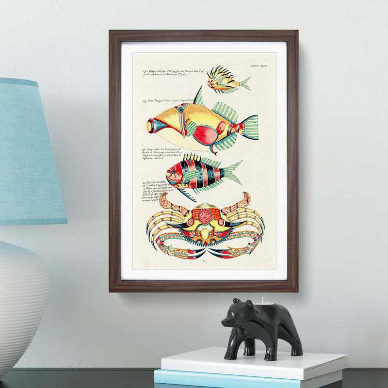 East Indies Fish & Crab Illustrations XXXIV by Louis Renard - Picture Frame Painting Print, 48cm H x 36cm W x 2cm D