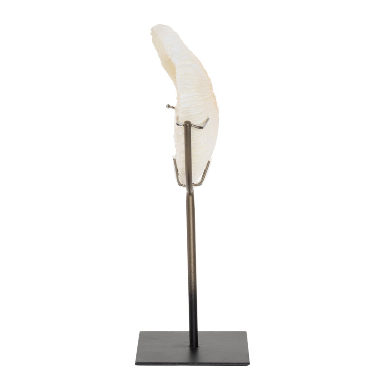 Sculpture polystone corail texturé avec support en bronze