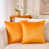 Orange jaune est en rupture de stock