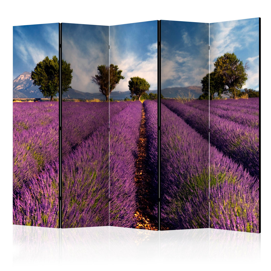 Paravent Lavender Field In Provence, France II mit 5 Paneelen