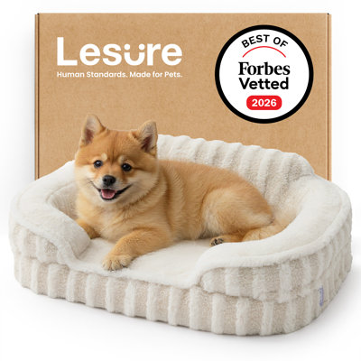 Lit pour chien Lesure, lit orthopédique imperméable pour animaux de compagnie avec côtés, fond antidérapant à haut dossier et canapé en mousse pour caisse d'œufs avec housse amovible et lavable